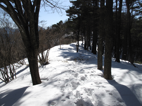 20180209hike (97)